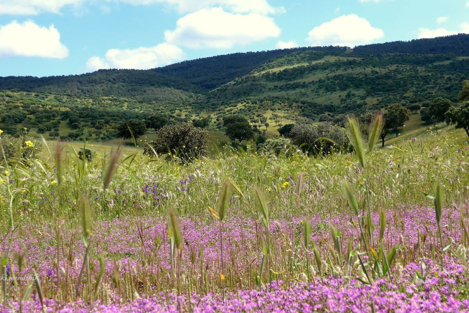 Qué hacer en Aldeaquemada en primavera La Cimbarra ecoturismo