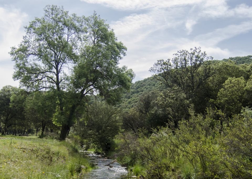 Sendero Arroyo Martín Pérez Aldeaquemada