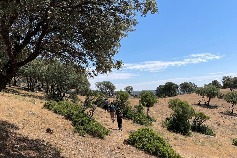 actividades para colegios en jaen aldeaquemada la cimbrarra ecoturismo excursiones fin de curso arte ruprestre