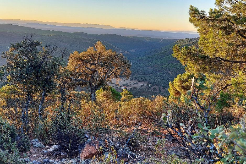 Escapada romántica a La Cimbarra Casa Rural alojamiento aldeaquemada restaurante rutas arte ruprestre